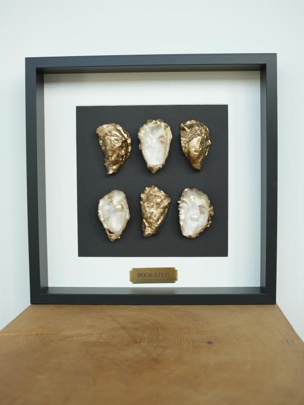 Gouden Oesterlijst Medium | 6 Oesters